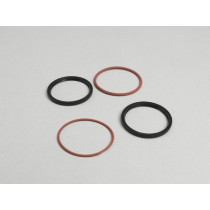 Oil Seal Set Polini Speed Drive