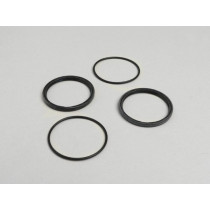 Oil Seal Set Polini Speed Drive