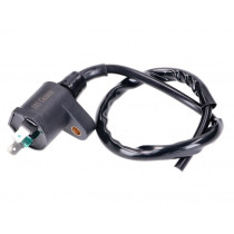 Ignition Coil 101 Octane