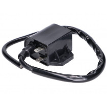 Ignition Coil 101 Octane