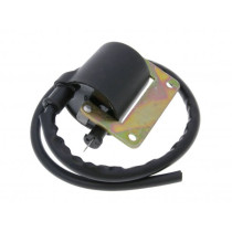 Ignition Coil 101 Octane
