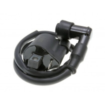 Ignition Coil 101 Octane