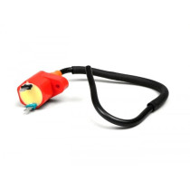 Bobine BGM Pro   (Adly (Her Chee), Baotian, Beeline)