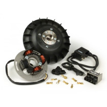 Ignition Pinasco Flytech 12v  1600g