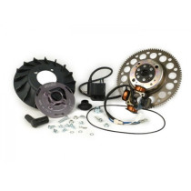 Ignition Polini Idm  Estart Models Only