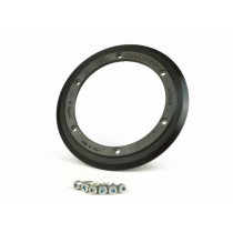 Extra Weight For Rotor Malossi Vespower