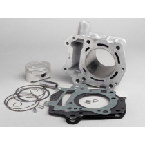 Cylinder Polini 177 Cc Rotax 125150