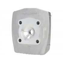 Cylinder Head Malossi