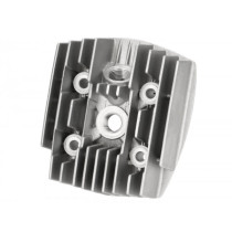 Cylinder Head Polini